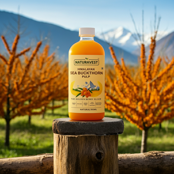 Himalayan Sea Buckthorn | Pure Omega-7 | Total Body Healing & Sourced Directly From Himalayas.