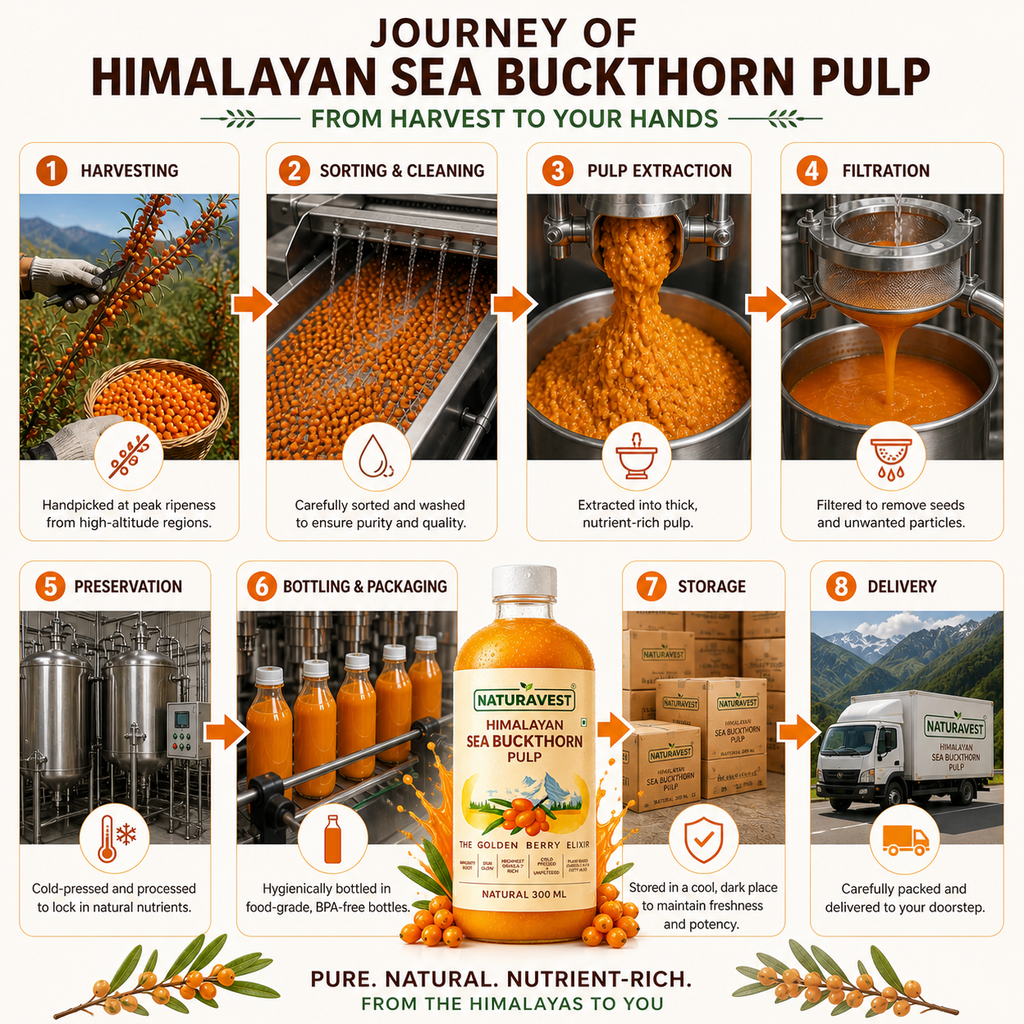 Himalayan Sea Buckthorn Pure Pulp | Not Diluted Juice. The Real Thing.
