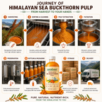 Himalayan Sea Buckthorn Pure Pulp | Not Diluted Juice. The Real Thing.