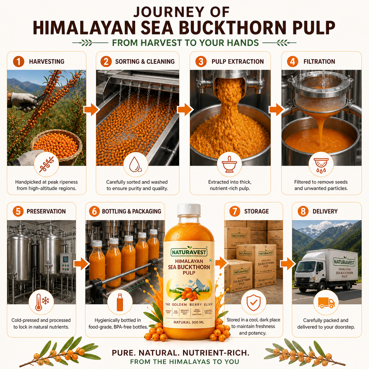 Himalayan Sea Buckthorn Pure Pulp | Not Diluted Juice. The Real Thing.